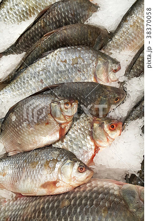 Cooled fish on ice for sale in market Cooled fish on ice for sale in market 38370058