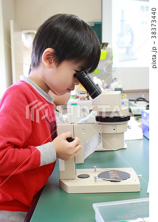 顕微鏡をのぞく子供の写真素材