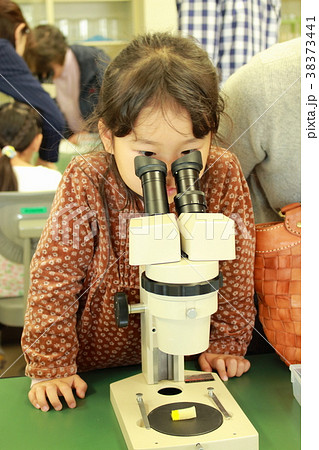 顕微鏡をのぞく子供 顕微鏡をのぞく子供 38373441
