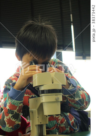 顕微鏡をのぞく小学生 38373442