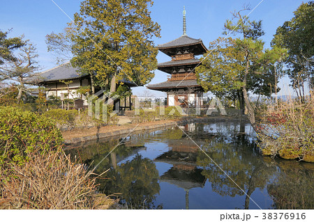 【法起寺】 奈良県生駒郡斑鳩町大字岡本 38376916