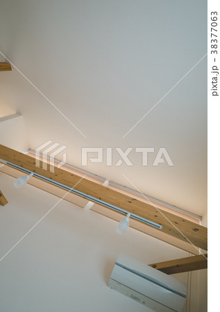 snapshot 38377063