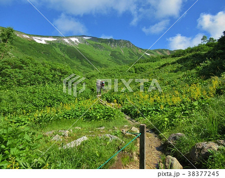 黒部源流 38377245