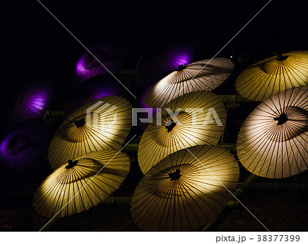 蛇の目の灯り 38377399