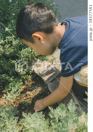 4 years old 38377561