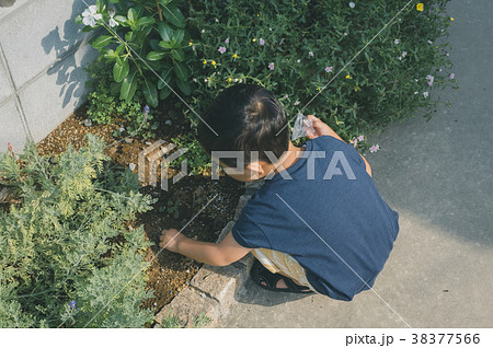 4 years old 38377566