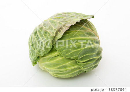 キャベツ 38377844