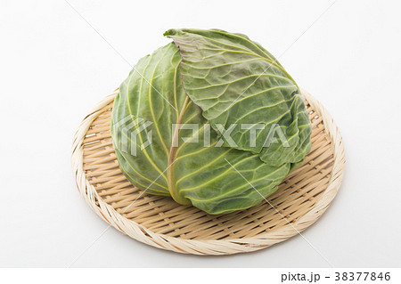 キャベツ 38377846