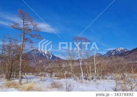 冬の奥日光 戦場ヶ原の東 雪と枯れ木と日光表連山   日本ロマンチック街道より　c 38378892