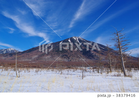 冬の奥日光 戦場ヶ原の東 雪と立木と男体山 日本ロマンチック街道より a 冬の奥日光 戦場ヶ原の東 雪と立木と男体山 日本ロマンチック街道より a 38379416