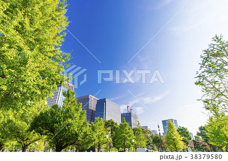 オフィス街の高層ビルと緑 38379580