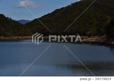 徳島県海陽町の海老ヶ池 38379824