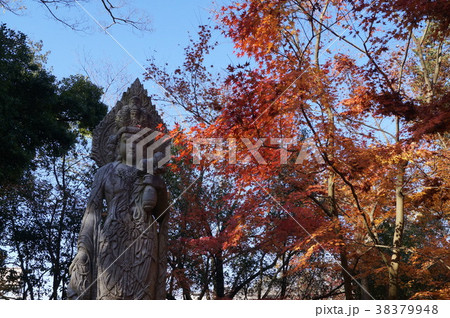 京都 永観堂の紅葉と石仏 京都 永観堂の紅葉と石仏 38379948