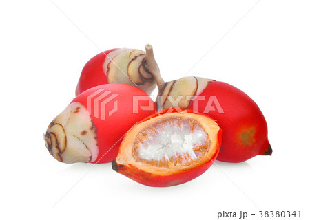 ripe betel nut fruit isolated on white background 38380341