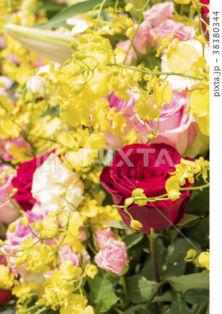 開店　スタンド花 38380344