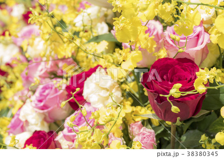 開店　スタンド花 38380345