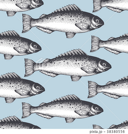 Hand drawn sketch seafood background. Vector 38380556