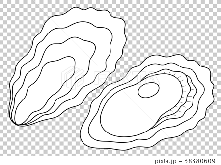 Oyster coloring page - Stock Illustration [38380609] - PIXTA
