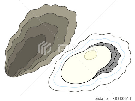 牡蠣のイラスト素材