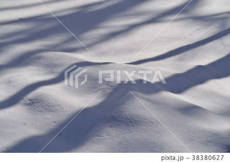 きらめく雪面に木の陰　a-1 コントラスト低め 38380627