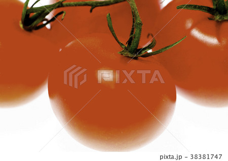 房摘みトマト 38381747