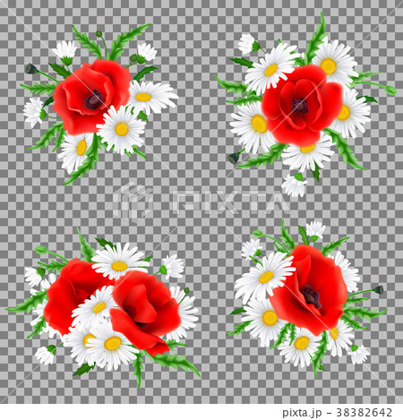 Bouquet of poppies and chamomile flowers Bouquet of poppies and chamomile flowers 38382642