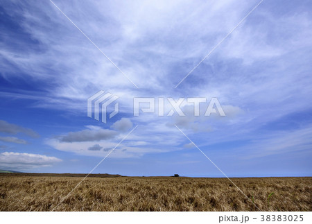 米国 ハワイ 空 38383025