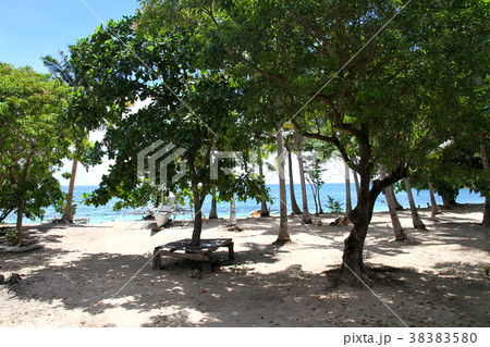 フィリピン・セブ島北部にあるマラパスクア島 38383580