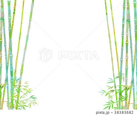 竹林 笹 テクスチャー 竹林 笹 テクスチャー 38383682