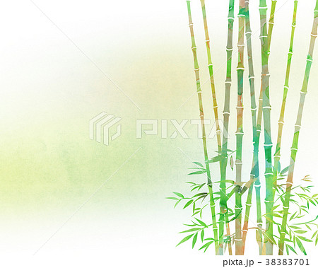 竹林 笹 テクスチャー 竹林 笹 テクスチャー 38383701