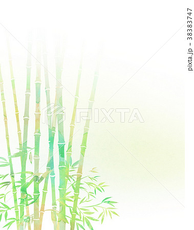 竹林　笹　テクスチャー 38383747