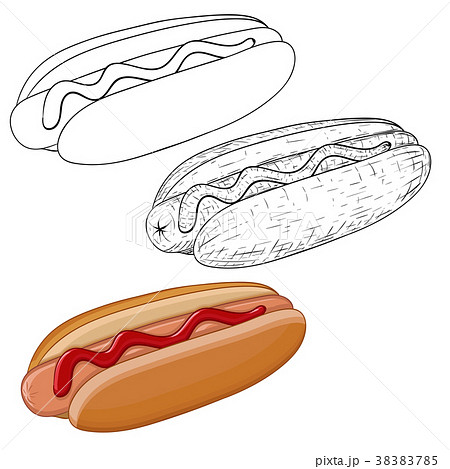 Hot Dog Outline Sketch And Colored Doodle Stock Illustration 3785