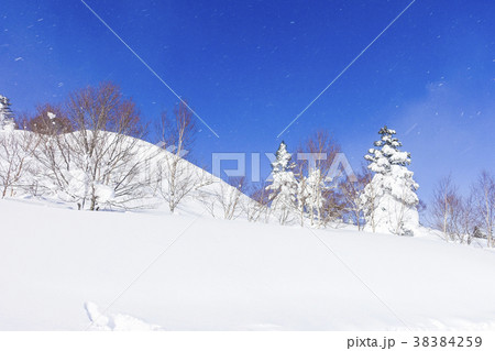 雪煙の西森山 38384259