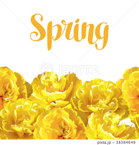 Seamless pattern with fluffy yellow tulips Seamless pattern with fluffy yellow tulips 38384649