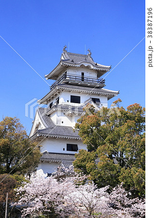 桜咲く今治城 38387196