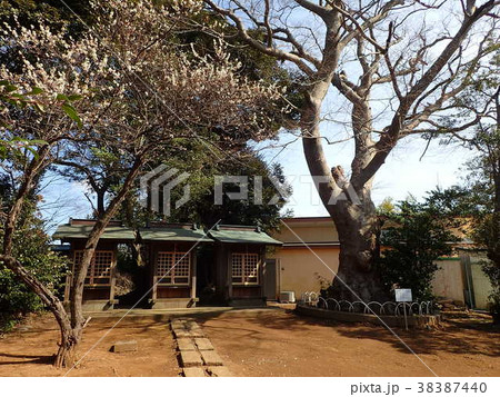 臼井稲荷神社 臼井稲荷神社 38387440