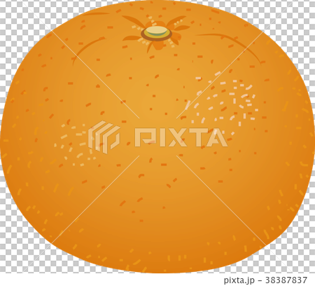 Summertime orange 38387837