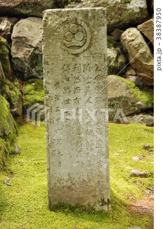 「渡辺佐吉 顕彰碑」 (丸岡城/福井県坂井市丸岡町霞町1-59) 「渡辺佐吉 顕彰碑」 (丸岡城/福井県坂井市丸岡町霞町1-59) 38387950