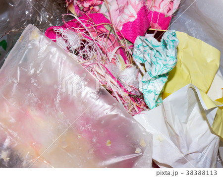 The food Garbage. 38388113
