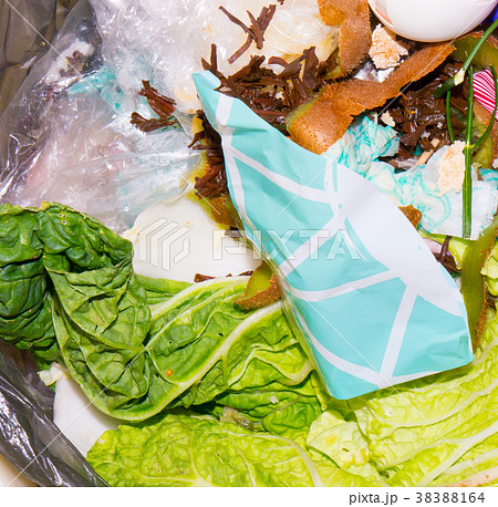 The food Garbage. 38388164