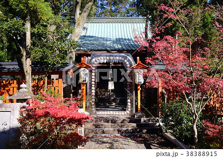 京都 秋の赤山禅院 本殿前の正念誦 京都 秋の赤山禅院 本殿前の正念誦 38388915