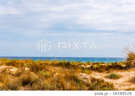 beach dunes in the sun 38389528