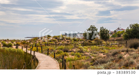 wooden boardwalk in the dunes wooden boardwalk in the dunes 38389530