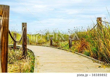 wooden boardwalk in the dunes wooden boardwalk in the dunes 38389892