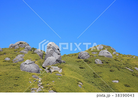屋久島 九州最高峰の山 宮之浦岳 屋久島 九州最高峰の山 宮之浦岳 38390043