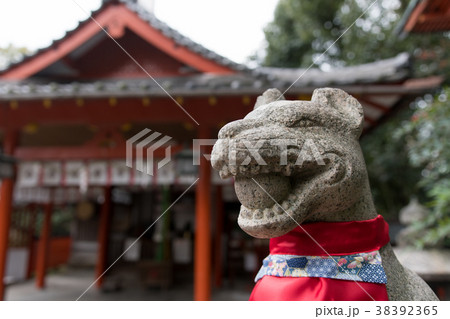 源九郎稲荷神社 源九郎稲荷神社 38392365