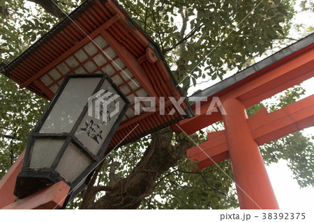 源九郎稲荷神社 38392375