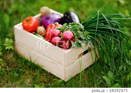 wooden crate with fresh organic vegetables wooden crate with fresh organic vegetables 38392975