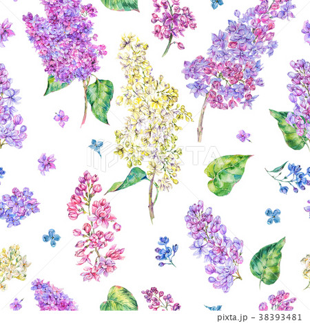 Watercolor spring lilac seamless patternのイラスト素材 [38393481] - PIXTA