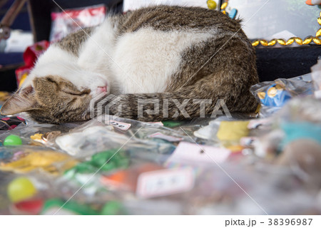 台湾　猴硐　ホウトン　(猫村) 38396987